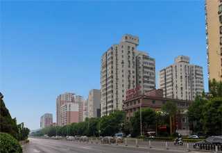 珠海海参活性肽冻干速溶粉供货企业